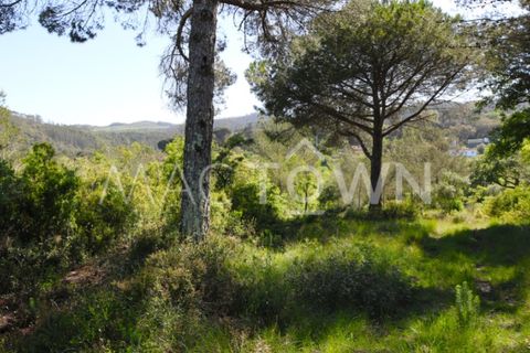 Terra a Bucelas, Lisbon, Bucelas - € 48.000 | Ref: M009AM - foto 11