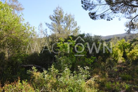Terra a Bucelas, Lisbon, Bucelas - € 48.000 | Ref: M009AM - foto 12