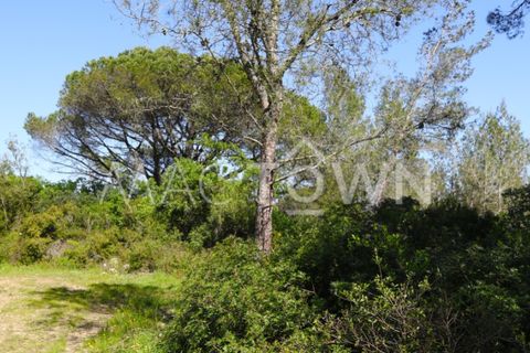 Terra a Bucelas, Lisbon, Bucelas - € 48.000 | Ref: M009AM - foto 13