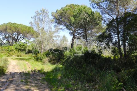 Terra a Bucelas, Lisbon, Bucelas - € 48.000 | Ref: M009AM - foto 14