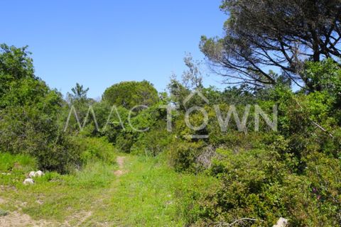 Terra a Bucelas, Lisbon, Bucelas - € 48.000 | Ref: M009AM - foto 15