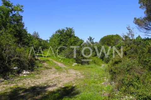 Terra a Bucelas, Lisbon, Bucelas - € 48.000 | Ref: M009AM - foto 16