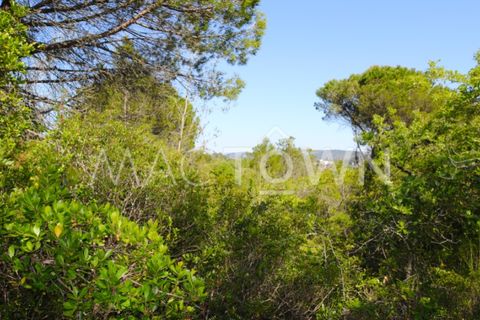 Terra a Bucelas, Lisbon, Bucelas - € 48.000 | Ref: M009AM - foto 17