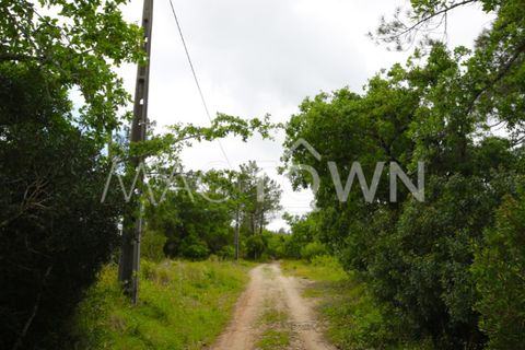 Terra a Bucelas, Lisbon, Bucelas - € 48.000 | Ref: M009AM - foto 19