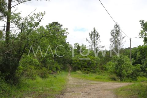 Terra a Bucelas, Lisbon, Bucelas - € 48.000 | Ref: M009AM - foto 21
