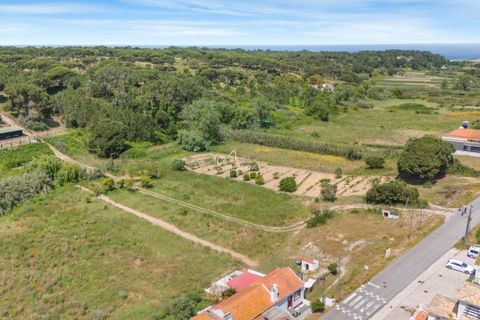 Helårsgrund i Quinta do Conde, Setubal, Quinta do Conde - € 370.000 | Ref: TAPT01-1309_LF - foto 5