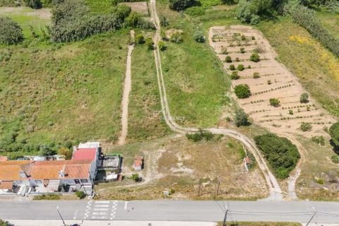 Helårsgrund i Quinta do Conde, Setubal, Quinta do Conde - € 370.000 | Ref: TAPT01-1309_LF - foto 8
