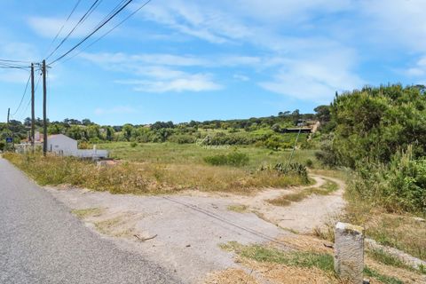 Helårsgrund i Quinta do Conde, Setubal, Quinta do Conde - € 370.000 | Ref: TAPT01-1309_LF - foto 9