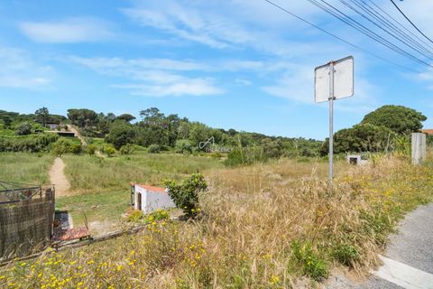Helårsgrund i Quinta do Conde, Setubal, Quinta do Conde - € 370.000 | Ref: TAPT01-1309_LF - foto 10