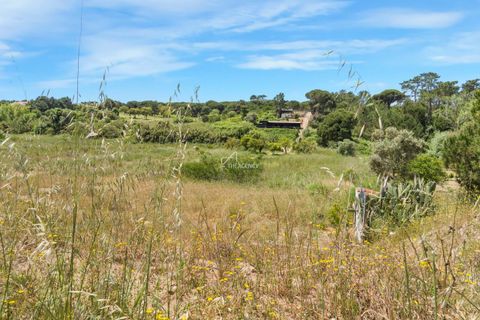 Helårsgrund i Quinta do Conde, Setubal, Quinta do Conde - € 370.000 | Ref: TAPT01-1309_LF - foto 11