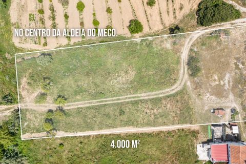 Helårsgrund i Quinta do Conde, Setubal, Quinta do Conde - € 370.000 | Ref: TAPT01-1309_LF - foto 3