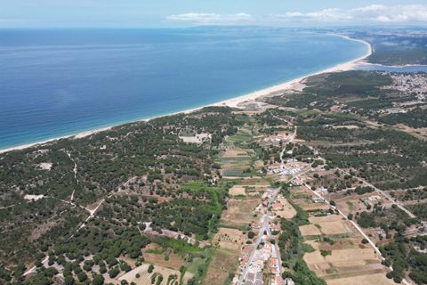 Helårsgrund i Quinta do Conde, Setubal, Quinta do Conde - € 370.000 | Ref: TAPT01-1309_LF - foto 17