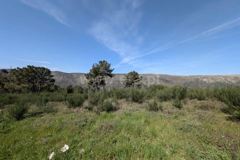Helårsgrund i Guarda, Guarda, Guarda - € 60.000 | Ref: 046250129 - foto 2