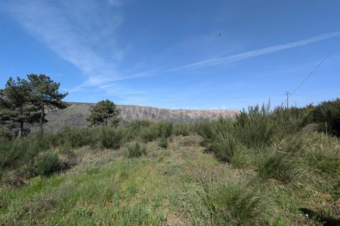 Helårsgrund i Guarda, Guarda, Guarda - € 60.000 | Ref: 046250129 - foto 4