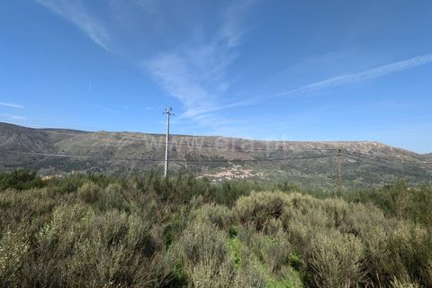 Helårsgrund i Guarda, Guarda, Guarda - € 60.000 | Ref: 046250129 - foto 8