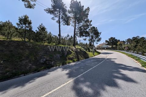 Helårsgrund i Guarda, Guarda, Guarda - € 60.000 | Ref: 046250129 - foto 12