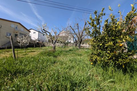 Villa a Guarda, Guarda, Guarda - € 420.000 | Ref: 046250133 - foto 42
