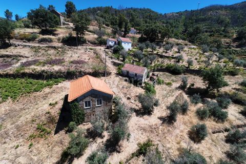 Erhvervsejendom i Guarda, Guarda, Guarda - € 189.000 | Ref: 046250154 - foto 5