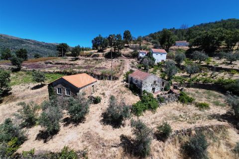 Erhvervsejendom i Guarda, Guarda, Guarda - € 189.000 | Ref: 046250154 - foto 6