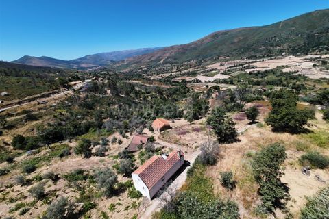 Erhvervsejendom i Guarda, Guarda, Guarda - € 189.000 | Ref: 046250154 - foto 7