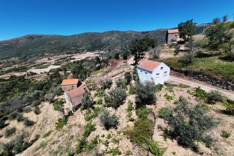 Erhvervsejendom i Guarda, Guarda, Guarda - € 189.000 | Ref: 046250154 - foto 8