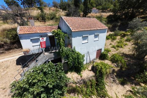 Erhvervsejendom i Guarda, Guarda, Guarda - € 189.000 | Ref: 046250154 - foto 11