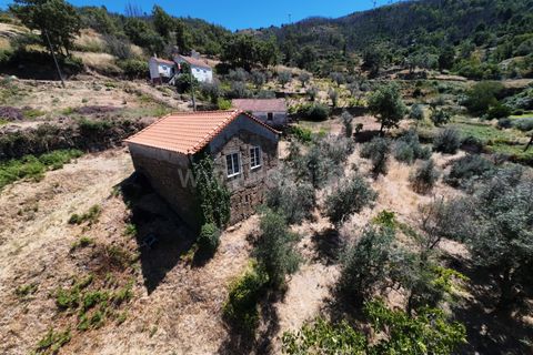 Erhvervsejendom i Guarda, Guarda, Guarda - € 189.000 | Ref: 046250154 - foto 12