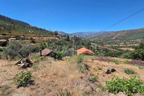 Erhvervsejendom i Guarda, Guarda, Guarda - € 189.000 | Ref: 046250154 - foto 15