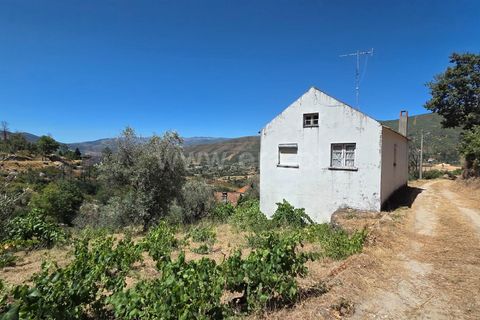Erhvervsejendom i Guarda, Guarda, Guarda - € 189.000 | Ref: 046250154 - foto 16