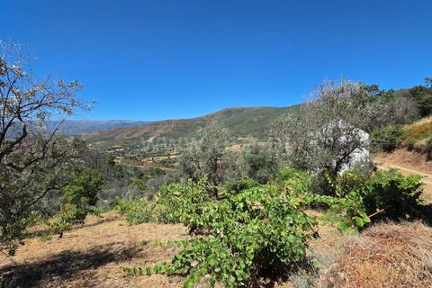 Erhvervsejendom i Guarda, Guarda, Guarda - € 189.000 | Ref: 046250154 - foto 17