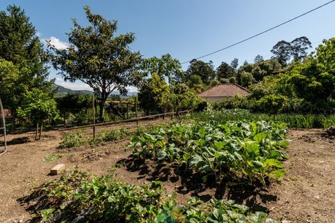 Farm i Ponte de Lima, Viana do Castelo, Ponte de Lima - € 1.350.000 | Ref: PTL-001-113 - foto 22