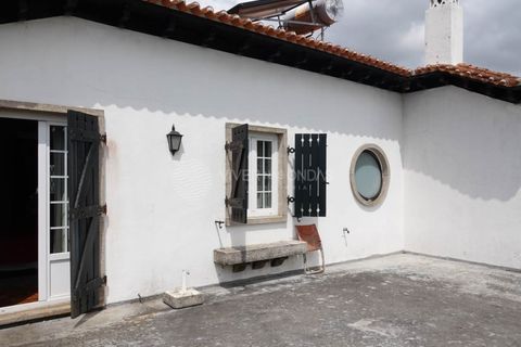 Farm i Maia, Porto, Maia - € 1.500.000 | Ref: IP-1124 - foto 42