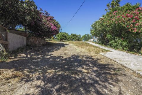 Villa a Silves, Faro, Silves - € 698.000 | Ref: FC1031VCQ - foto 37