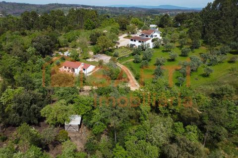 Farm i Gondemaria e Olival, Santarem, Gondemaria e Olival - € 899.000 | Ref: SAFTI:006764 - foto 12