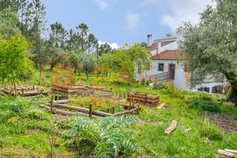 Farm i Gondemaria e Olival, Santarem, Gondemaria e Olival - € 899.000 | Ref: SAFTI:006764 - foto 16