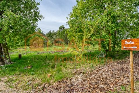 Farm i Gondemaria e Olival, Santarem, Gondemaria e Olival - € 899.000 | Ref: SAFTI:006764 - foto 18