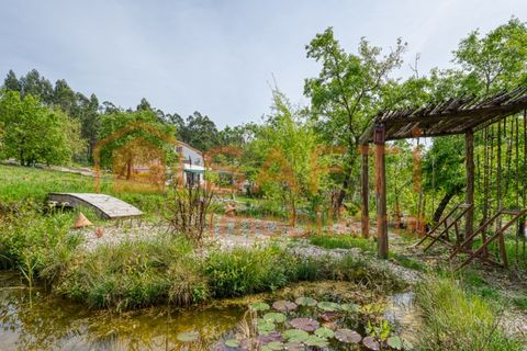Farm i Gondemaria e Olival, Santarem, Gondemaria e Olival - € 899.000 | Ref: SAFTI:006764 - foto 19