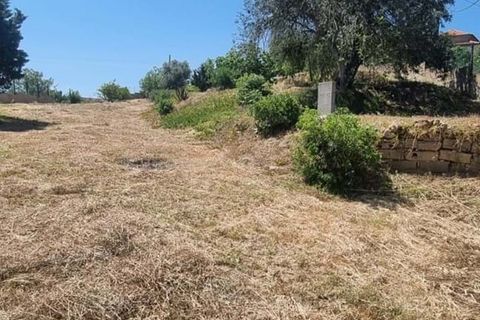 Helårsgrund i Lagoa, Faro, Lagoa - € 215.000 | Ref: 330 - foto 5
