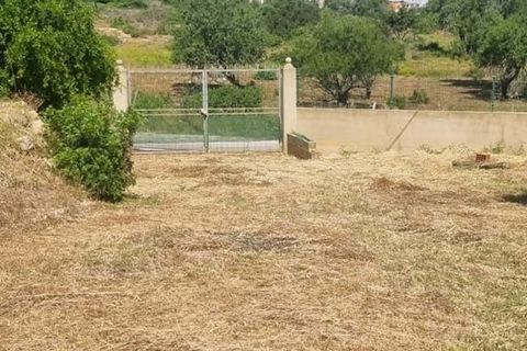 Helårsgrund i Lagoa, Faro, Lagoa - € 215.000 | Ref: 330 - foto 9