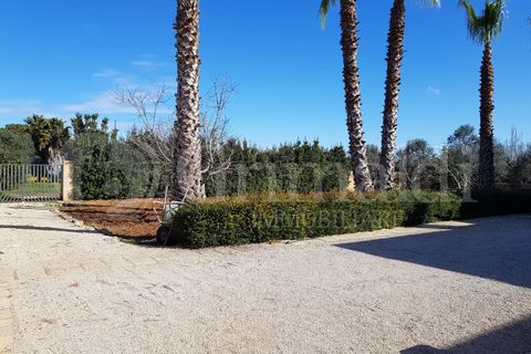 Villa i Gallipoli, Lecce, Gallipoli - € 750.000 | Ref: 750GALLIPOLI - foto 35