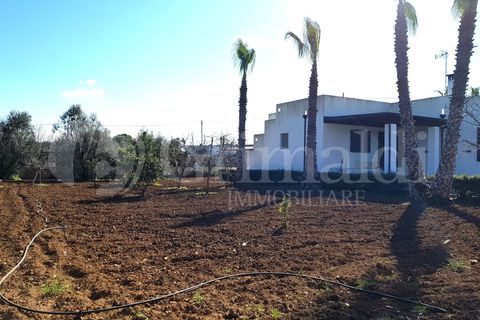 Villa i Gallipoli, Lecce, Gallipoli - € 750.000 | Ref: 750GALLIPOLI - foto 39