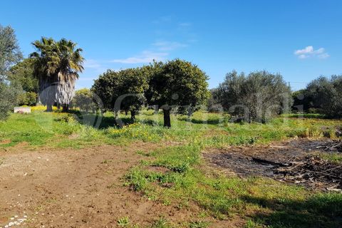 Villa i Gallipoli, Lecce, Gallipoli - € 750.000 | Ref: 750GALLIPOLI - foto 40