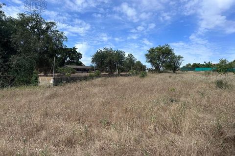 Helårsgrund i Almancil, Faro, Almancil - € 1.500.000 | Ref: 4704 - foto 1