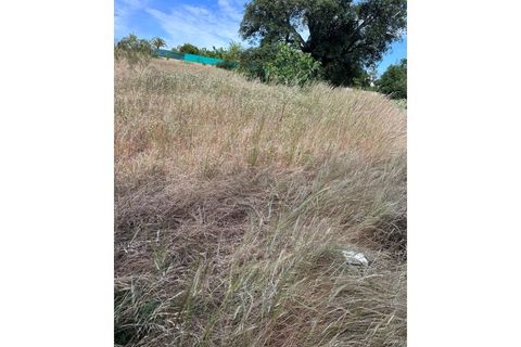 Helårsgrund i Almancil, Faro, Almancil - € 1.500.000 | Ref: 4704 - foto 2