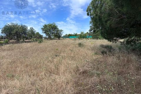 Helårsgrund i Almancil, Faro, Almancil - € 1.500.000 | Ref: 4704 - foto 3