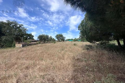 Helårsgrund i Almancil, Faro, Almancil - € 1.500.000 | Ref: 4704 - foto 4