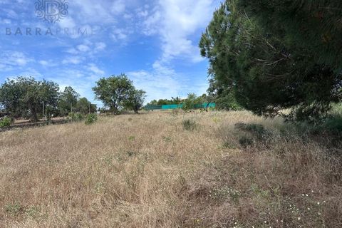 Helårsgrund i Almancil, Faro, Almancil - € 1.500.000 | Ref: 4704 - foto 5