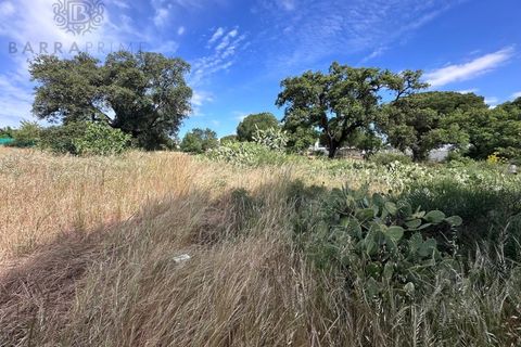 Helårsgrund i Almancil, Faro, Almancil - € 1.500.000 | Ref: 4704 - foto 6