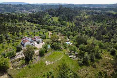 Farm i Gondemaria e Olival, Santarem, Gondemaria e Olival - € 899.000 | Ref: SF-SAFTI:006764 - foto 10