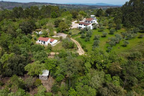 Farm i Gondemaria e Olival, Santarem, Gondemaria e Olival - € 899.000 | Ref: SF-SAFTI:006764 - foto 12